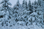 202101_winter_09
