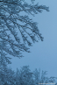 202101_winter_13