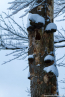 202101_winter_15