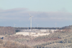202101_winter_19