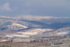 202101_winter_21