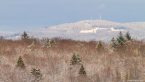 202101_winter_23