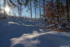 202101_winter_29