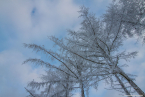 202101_winter_35