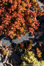 202105_viaceltica_04