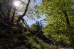 202105_viaceltica_10