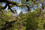 202105_viaceltica_16