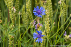 202107_sui_web_003