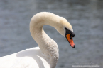 202107_sui_web_015