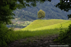 202107_sui_web_021