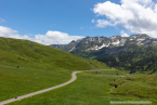 202107_sui_web_023