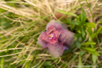 202107_sui_web_025