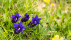 202107_sui_web_026