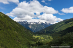 202107_sui_web_027