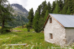 202107_sui_web_041