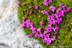 202107_sui_web_055