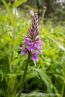 202107_sui_web_070