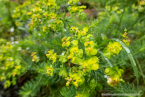 202107_sui_web_071