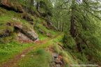 202107_sui_web_074