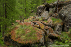202107_sui_web_078