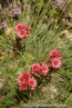 202107_sui_web_081