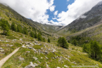 202107_sui_web_099