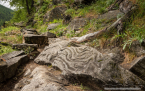 202107_sui_web_100