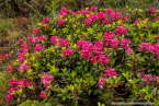 202107_sui_web_103
