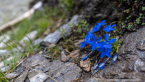 202107_sui_web_109