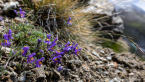 202107_sui_web_110
