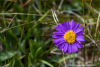 202107_sui_web_111