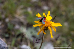202107_sui_web_112