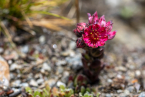 202107_sui_web_113