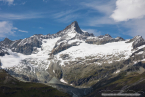 202107_sui_web_143