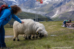 202107_sui_web_149