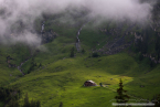 202107_sui_web_153