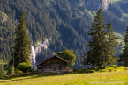 202107_sui_web_169