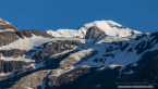 202107_sui_web_175