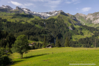 202107_sui_web_176
