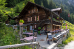 202107_sui_web_182
