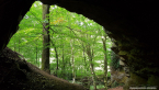 202109_wildenburg_04