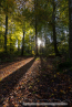 202110_herbst_dielfen_03