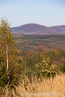 202110_herbst_dielfen_06