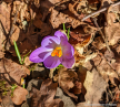 PXL_20220227_115044911.MP_