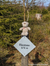 PXL_20220313_104528630.MP_