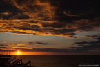 202207_sco_004