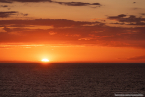 202207_sco_005