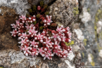 202207_sco_019