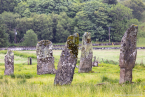 202207_sco_029