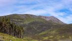 202207_sco_079